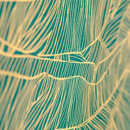 Au Refuge De Jean Bart * Dunkirk